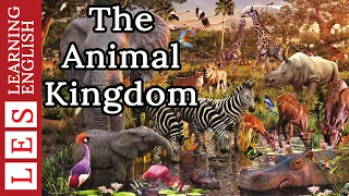 Learn English Through Story ✿ Subtitle: The Animal Kingdom (level 2)