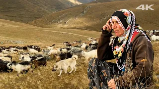 Family on the Plateau - Goat Herding | Documentary