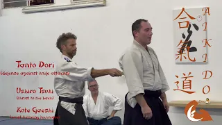 Kirill's Aikido black belt (shodan) exam; Tel Aviv's Integral Dojo led by Miles Kessler Sensei