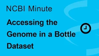 The NCBI Minute: Accessing the Genome in a Bottle Dataset