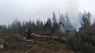 Безумная Валка и трелевка леса, лесозаготовка, лесоповал,,, telling the forest,,, Walz week...