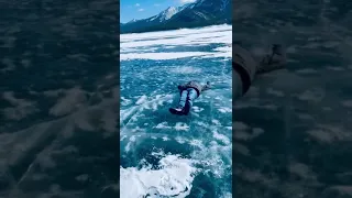 He Plays Too Much! #winter #frozenlake #abrahamlake  #alberta #banff #shorts #snowangel #bubbles