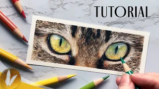 How To Draw A Cat's Eyes With Colored Pencils, Cat Fur l Drawing Tutorial