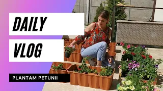 DAILY VLOG/ Definitivam proiectele mari din curte/ Plantam o multime de petunii