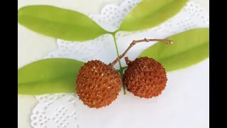 Личи  Litchi Chinensis. Первое плодоношение Личи.