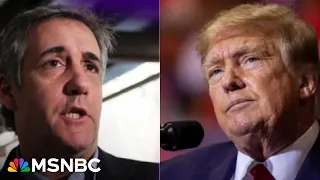 ‘Obsessed with Trump’? Trump lawyers try to debunk star witness Cohen's integrity with bizarre claim