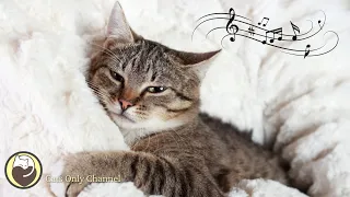 Calming Sleep Music for Cats (with cat purring sounds) - Deep Relaxation & Anxiety Relief