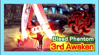 Bleed Phantom 3rd Awaken Skill Detail / Dragon Nest Korea (2022 November)