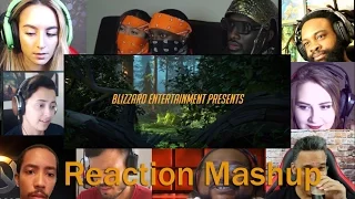 Overwatch Animated Short  -  'The Last Bastion' REACTION MASHUP