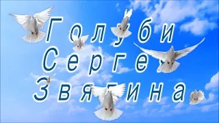 Николаевские голуби высоко поднялись и долго полетали 22 декабря 2022