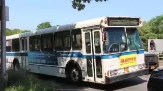 MTA NYC and Bee Line Bus: Pelham Bay Park