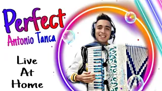 Perfect - Ed Sheeran (Live At Home) | Accordion ANTONIO TANCA