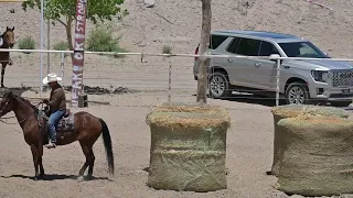 EXCA 2024 05 12 El Paso Sheriff's Posse Ranch Versatility #7 Luis F Nanine