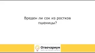 Вреден ли сок из ростков пшеницы (витграсс)?