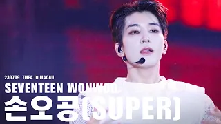 [FACECAM] 230709 세븐틴 원우 TMEA in MACAU 손오공(SUPER) 직캠 4K