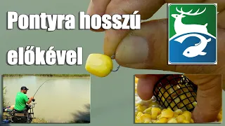 DOVIT FEEDER - Pontyra hosszú előkével