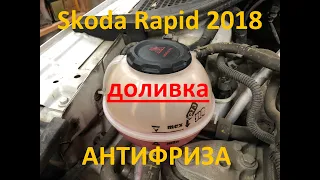 Шкода Рапид 2018.  Антифриз.