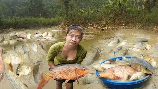 Harvesting Fish From Mud Ponds To Sell In The Village - Farm Girl