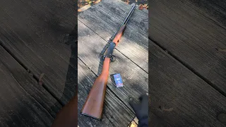 Henry Pump Action Rifle