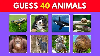 Guess the Animals in 5 Seconds | Easy, Medium, Hard, Impossible | Guessing Games for Kids