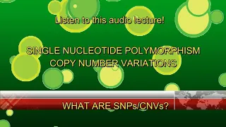 What are SNPs/CNVs? Why do we study them? | Audio lecture