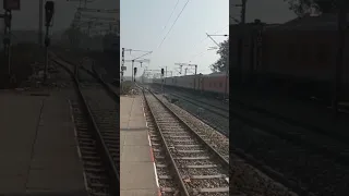 Live train accident with dog🐕#shorts