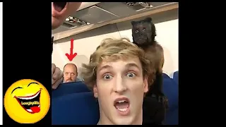 Logan Paul's funny vines and instagram video compillation 2019