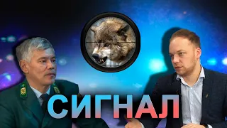 Сигнал. Как стать охотником в Казахстане? 03.12.2021