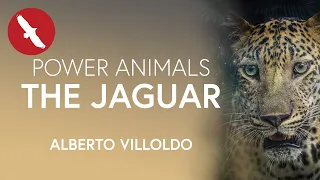 Power Animals - THE JAGUAR - Alberto Villoldo
