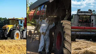 Žně 2020 | Harvest 2020 | Farma Tvarůžka | Case, Claas