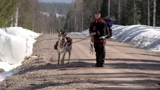 The Last Generation? – Sami Reindeer Herders in Swedish Lapland, Documentary