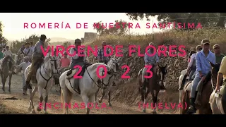 ROMERÍA DE NUESTRA SANTÍSIMA VIRGEN DE FLORES 2023