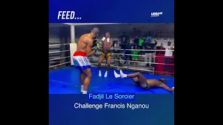 Fadjil Le Sorcier - Francis Ngannou (challenge)