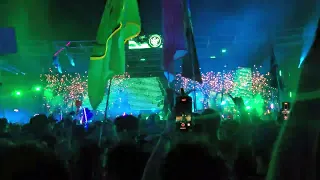 EDC Las Vegas '24(5)