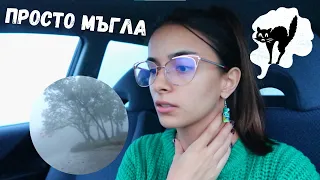 Страховитият ми следобед | (Оцелях, де!) 😄