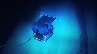 7 Deepwater ROV Findings from the Gulf of Mexico