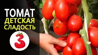 ТОМАТ ДЕТСКАЯ СЛАДОСТЬ суперраний низкорослый сорт. Гавриш.