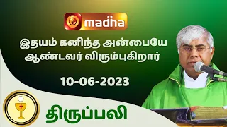 🔴 LIVE 10 JUNE 2023 Holy Mass in Tamil 06:00 PM (Evening Mass) | Madha TV
