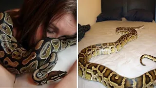 A woman who sleep with a Python 🐍 Snake story