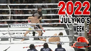 MMA & Boxing Knockouts I July 2022 Week 1