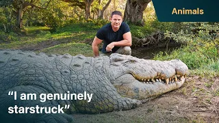 Meet Henry, The World's Oldest Crocodile | Killer Crocs With Steve Backshall