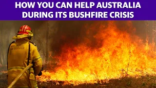 Australian wildfires: Here's how you can help Australia during its bush fire crisis