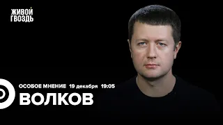 Денис Волков: Особое мнение / 19.12.23