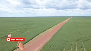 Fazenda a venda de primeira linha no estado do Tocantins TO