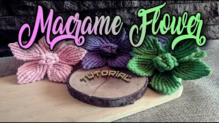 DIY Macrame Flowers | Cara Membuat Macrame Bunga | Macrame Tutorial