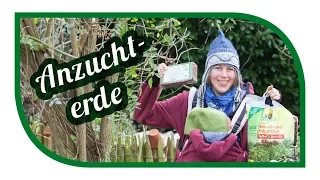 Aussaaterde selber machen 🌱 Jungpflanzenanzucht 🌱 Aussaat Tipps