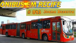 #043 - Ônibus em Recife - Movimentação dos ônibus no terminal integrado Joana Bezerra em Recife