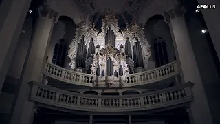 J.S.Bach: "The Art of Fugue" at Naumburg by Samuel Kummer; complete album trailer, english subtitles