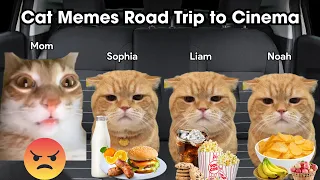 Cat Memes Road Trip Going To Cinema