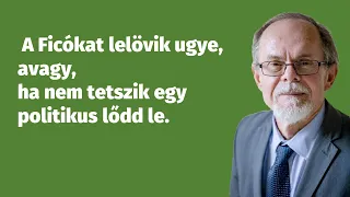 A Ficókat lelövik ugye, avagy, ha nem tetszik egy politikus lődd le?